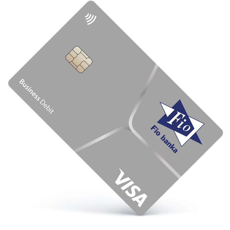 Visa Business